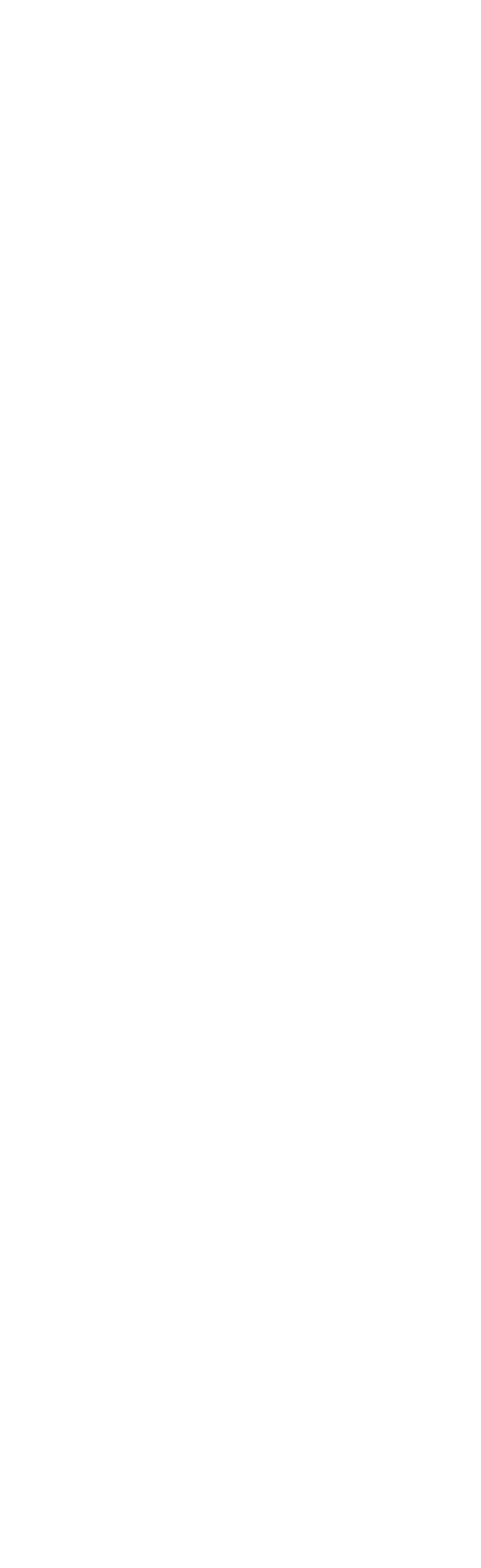 The University of Coimbra
